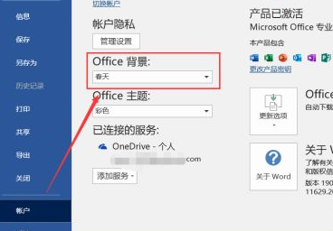 Microsoft Office 2019专业增强版