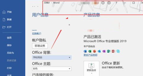 Microsoft Office 2019专业增强版