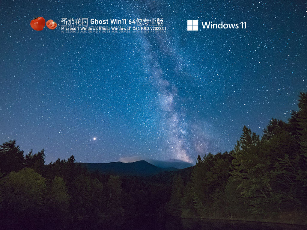 Win11系统下载_番茄花园 Win11专业版 64位 V2022.01