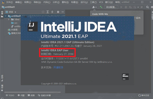 IntelliJ IDEA2022注册版