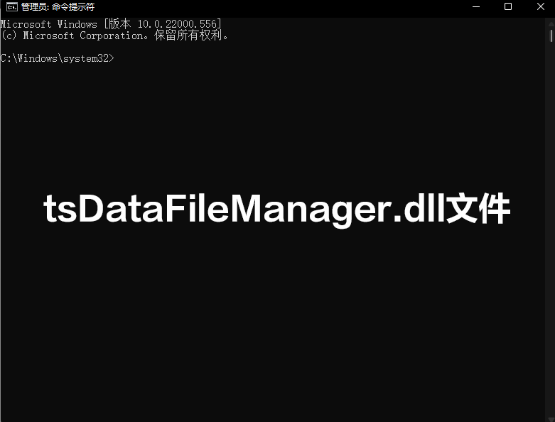 tsDataFileManager.dll 最新版