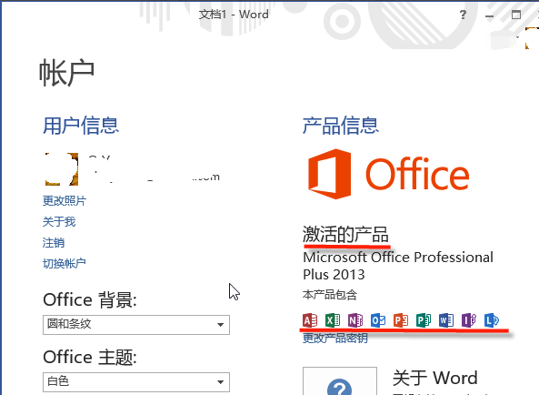 Microsoft office 2013汉化版