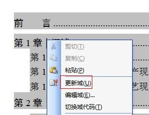 Microsoft office 2003专业增强版