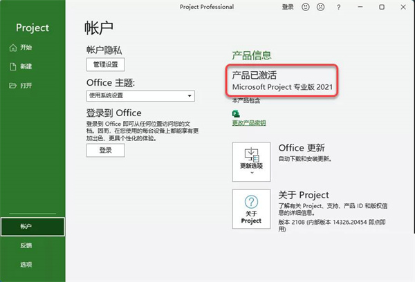 Project 2021官方版