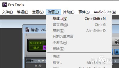 Pro Tools V12.5.0绿色版