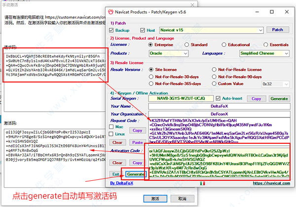 Navicat for Oracle v15.0.6绿色版