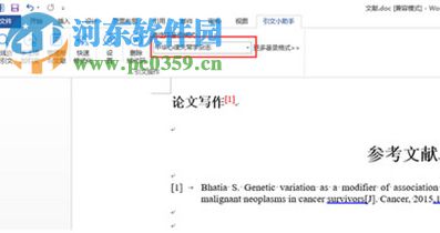 引文小助手安装版