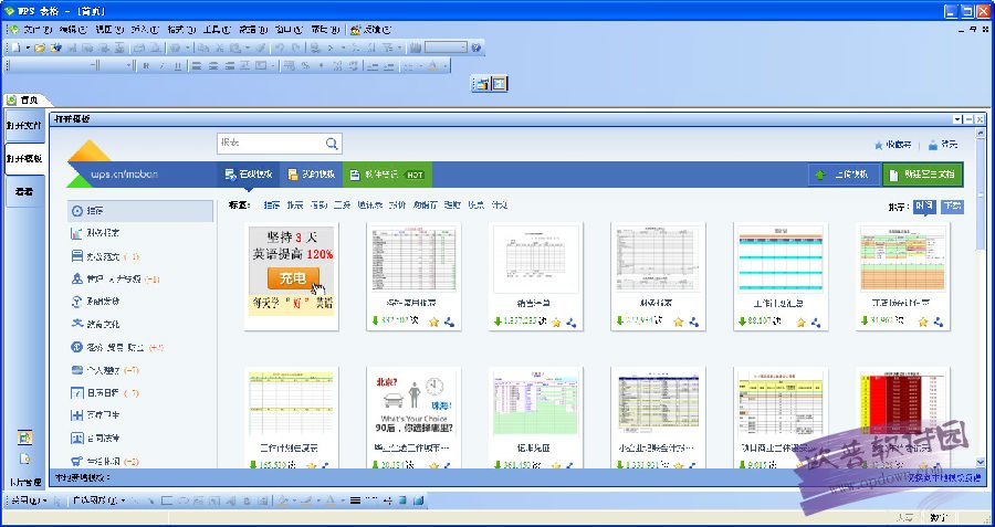 Wps Office 2009 增强版