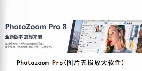 PhotoZoom v8.0.4中文版