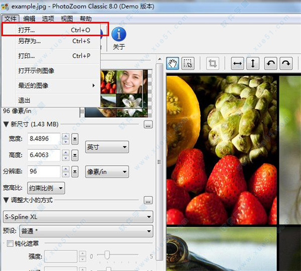 PhotoZoom v8.0.4中文版