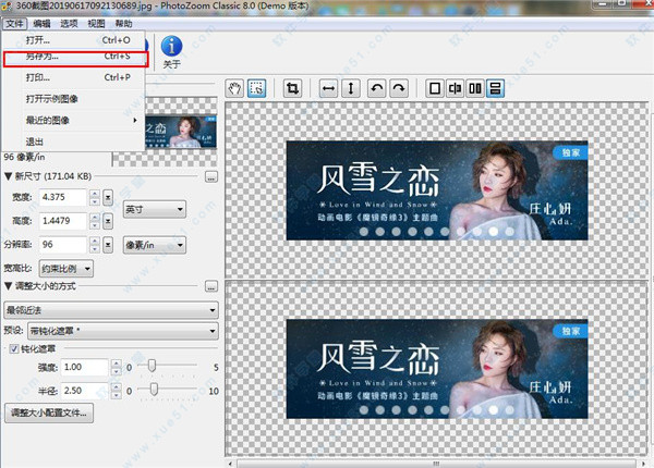 PhotoZoom v8.0.4中文版