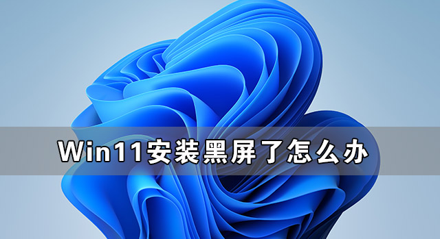 Win11家庭版下载_微软原版 Win11 64位家庭版下载