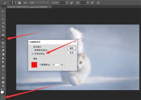 Adobe Photoshop2022 v23.2.2.325官方版