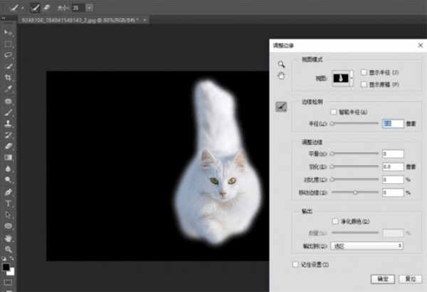 Adobe Photoshop2022 v23.2.2.325官方版