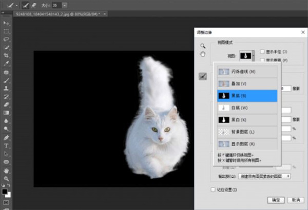 Adobe Photoshop2022 v23.2.2.325官方版