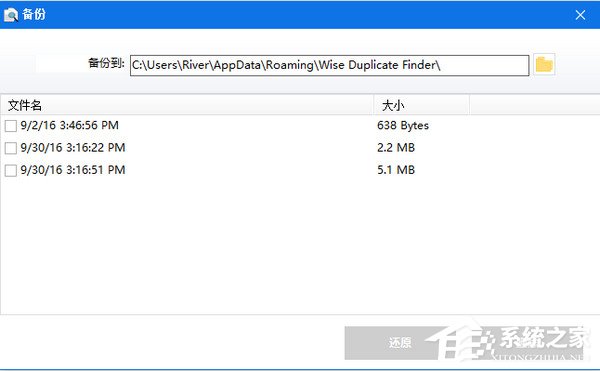 Wise Duplicate Finder 1.3.2.40专业版