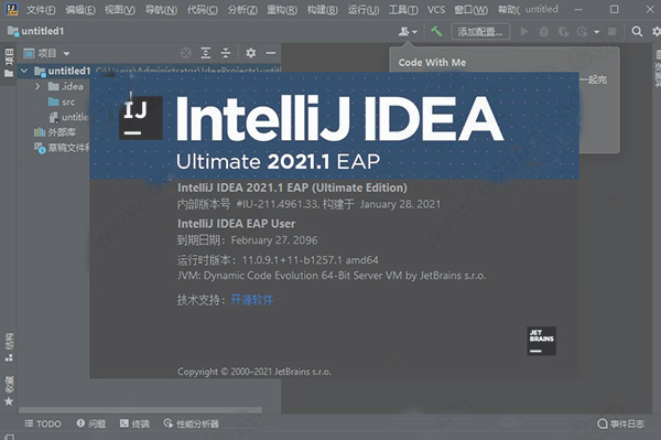 IntelliJ IDEA 2021官网版