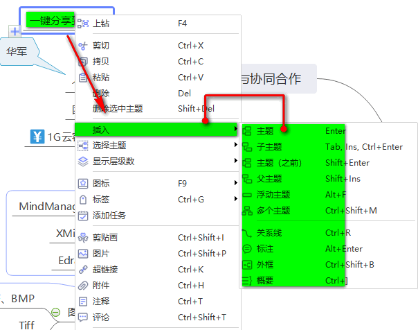 MindMaster v8.0.3 绿色版