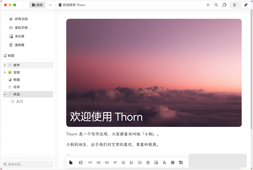 Thorn写作 v0.1.40 官方版