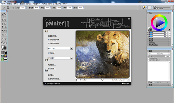 Corel Painter 11去广告版