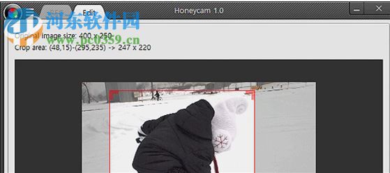 Honeycam V3.1.8官方版