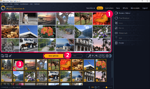 Ashampoo Photo Optimizer 8最新版