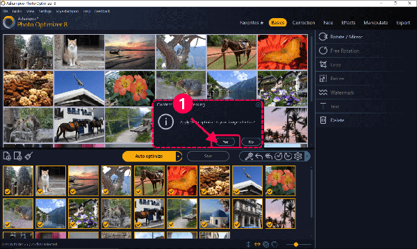 Ashampoo Photo Optimizer 8最新版