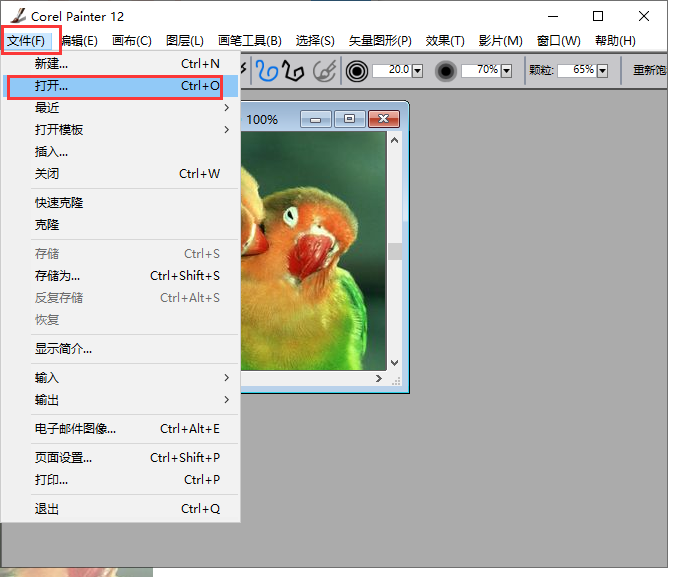 Corel Painter 12中文版