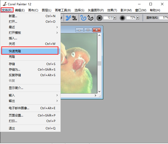 Corel Painter 12中文版