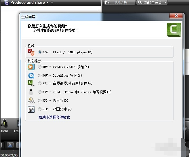 Camtasia Studio 9 汉化版