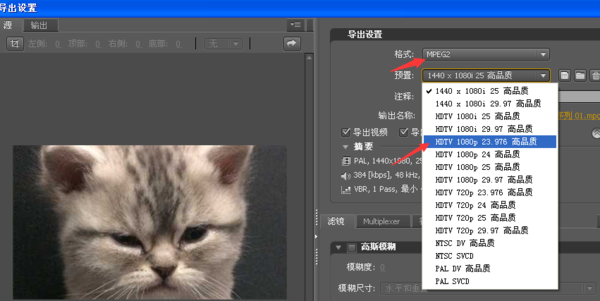 Adobe Premiere Pro CS4免费版