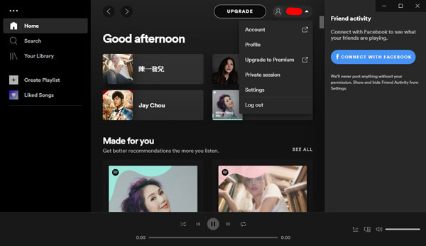 Spotify v1.1.73.517中文版