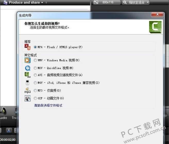 Camtasia Studio v19.0.7.5034 绿色版