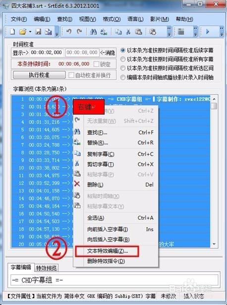 SrtEdit V6.3.2012.1001官方版