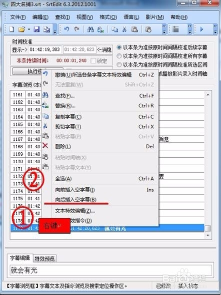 SrtEdit V6.3.2012.1001官方版