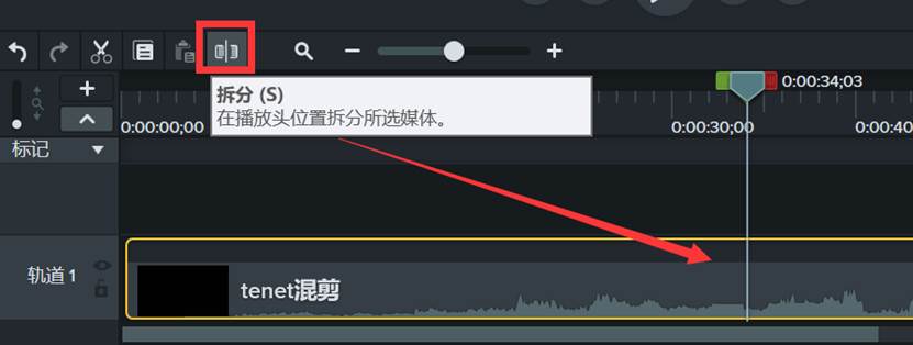 Camtasia Studio 2022中文版