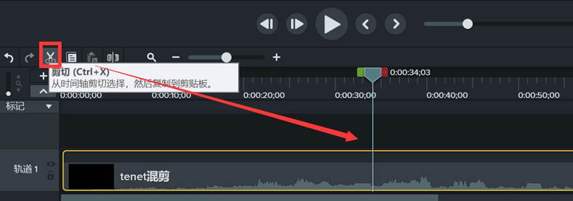 Camtasia Studio 2022中文版