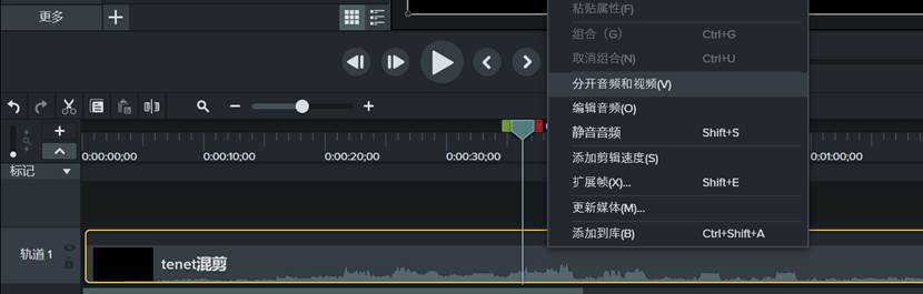 Camtasia Studio 2022中文版