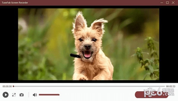 TuneFab Screen Recorder v2.2.16绿色版