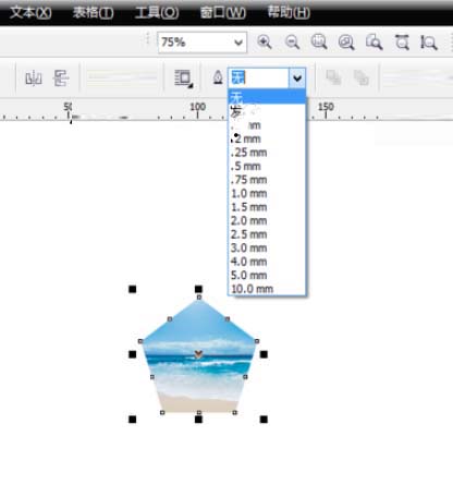 CorelDRAW 12绿色版