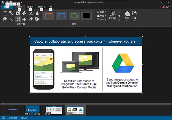 Snagit v13.1.3绿色版