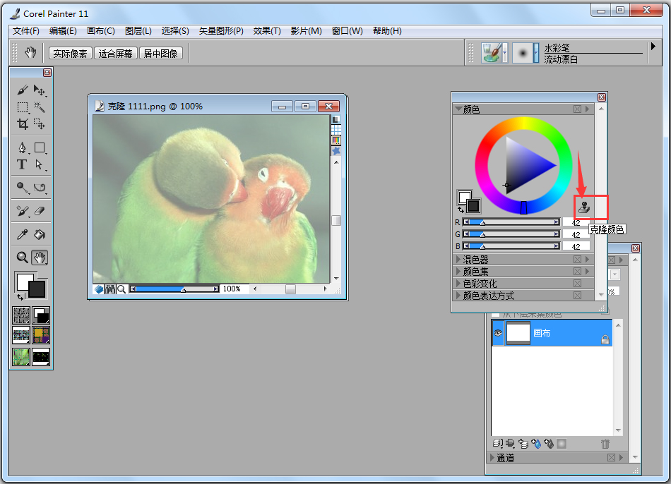 Corel Painter 11 汉化版