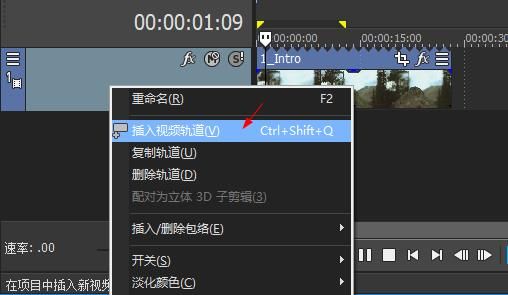 Movie Studio 15 v15.0.0.116绿色版