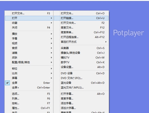 PotPlayer v1.7.21490 精简版