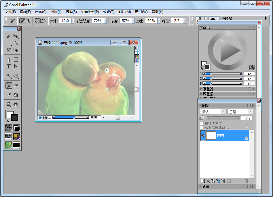 Corel Painter 11中文版