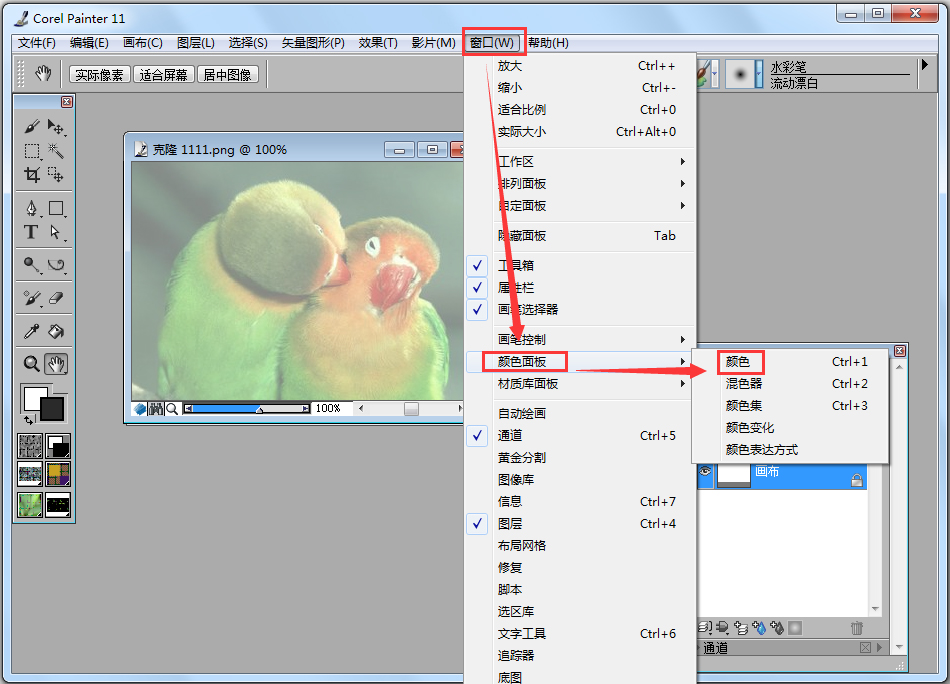 Corel Painter 11中文版