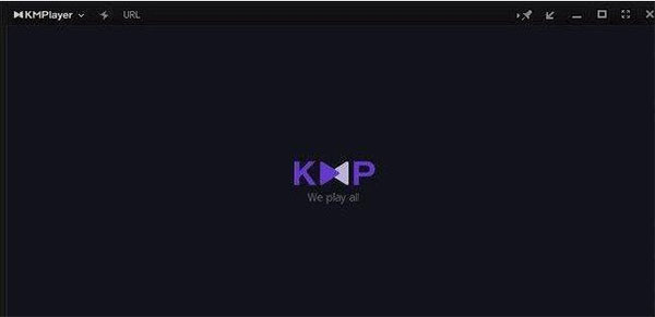 KMPlayer播放器v4.2.2.61最新版