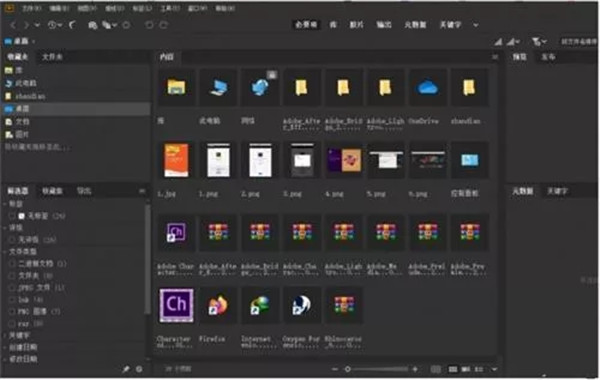 Adobe Bridge 2020绿色版