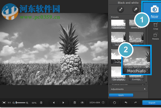 Movavi Photo Noir V1.0.2绿色版