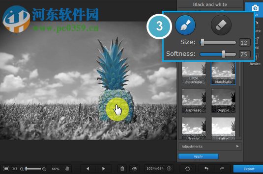 Movavi Photo Noir V1.0.2绿色版